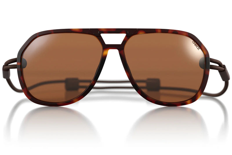 Classics Tortoise Polarized