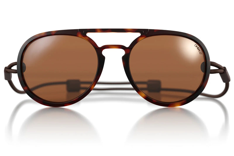 Dolomite Tortoise Polarized